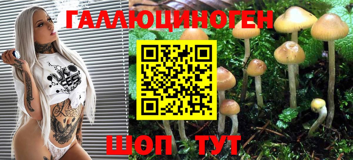 Псилоцибиновые грибы Psilocybe  Вход с VPN  Псилоцибиновые грибы Psilocybine cubensis  цены   Богородск 